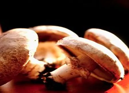 Salade de champignons au parmesan