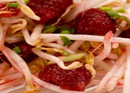 Salade de fèves germées aux framboises