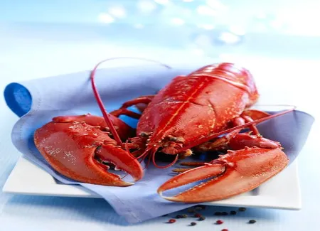 Salade de homard à la méditerranéenne