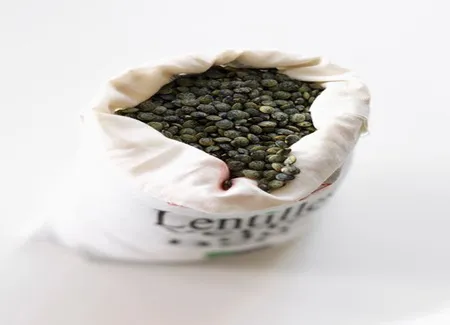 Salade de lentilles aux dés de saumon