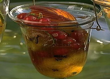 Salade de pêches au girofle et à la cardamome