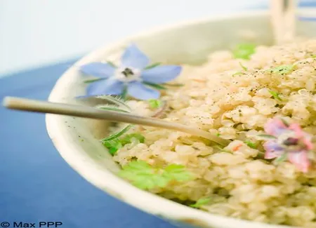 Salade de quinoa au speck et pesto