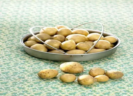 Salade de rattes au saumon