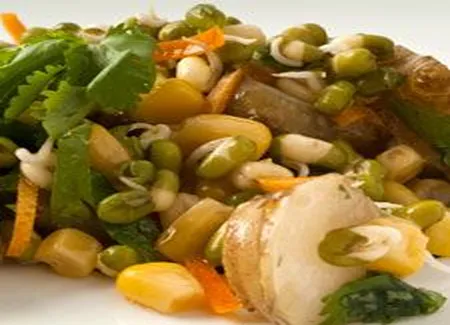 Salade de topinambour et fèves germées