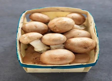 Salade fraîche aux champignons et betterave