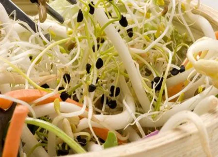 Salade printanière au soja