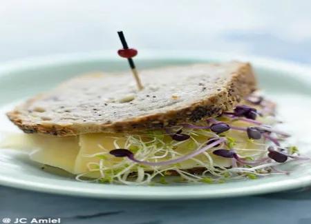 Sandwich hollandais