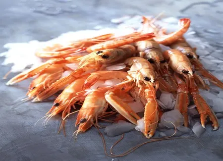 Scampis aux fines herbes