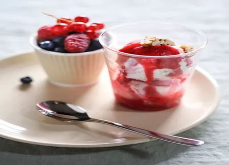 Sorbet yaourt