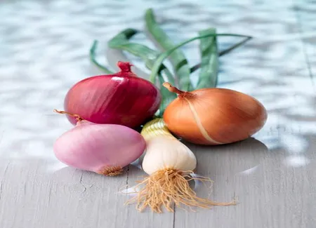 Soupe à l'oignon lyonnaise