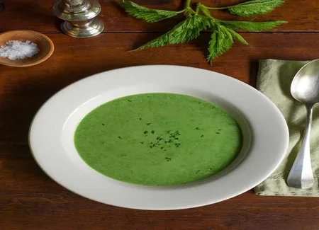 Soupe de cerfeuil