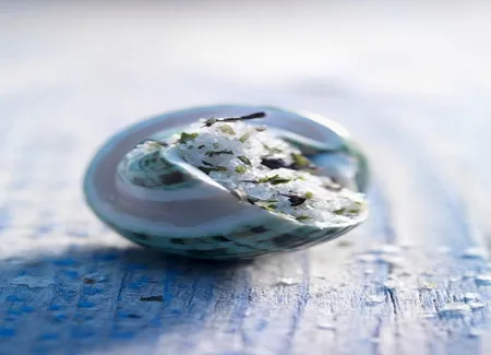 Tarte aux escargots