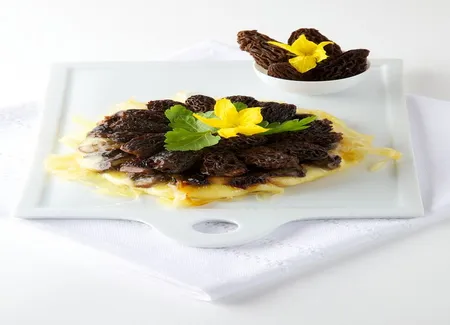 Tatins aux morilles et gruyère