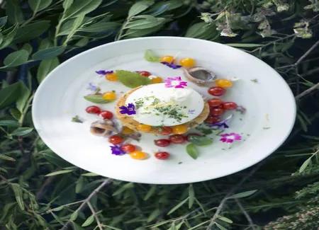 Tomate-burratina aux herbes du maquis