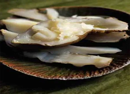 Topinambours en salade à l'huile d'olive et à la fleur de sel