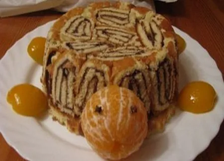 Tortue rigolote - gâteau roulé au chocolat