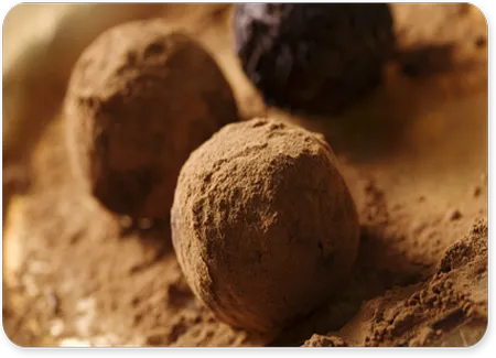 Truffes au chocolat rapides