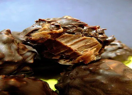 Truffes croquantes pralinées à la muscade et à l'orange