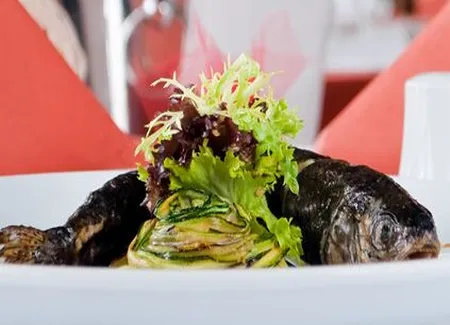 Truite aux courgettes