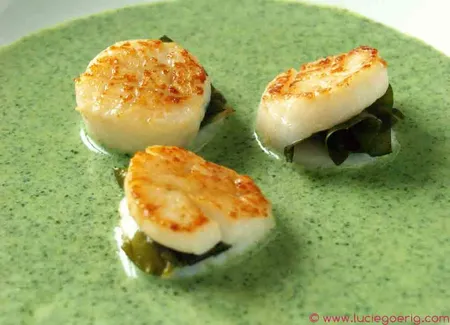 Velouté de cresson aux saint-jacques farcies au chou de mer