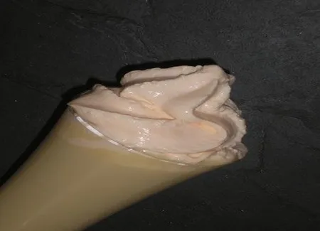 Velouté et sa chantilly de saumon fumé