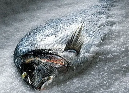 Dorade en croûte de sel