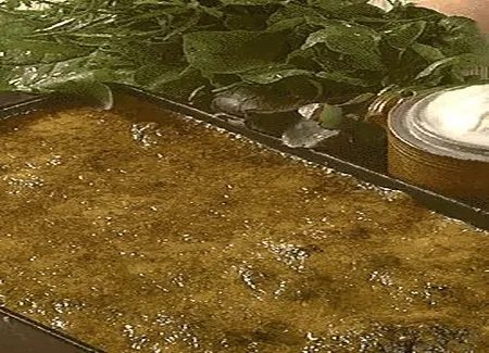 Piccata de veau au vert