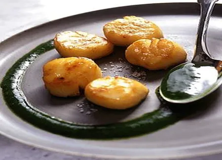 Saint-jacques poelées à la crème de laitue