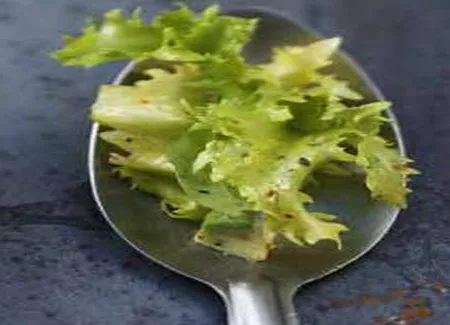 Salade de coeurs de frisée, avocat et sésame
