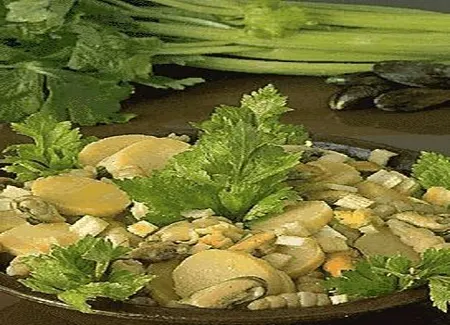 Salade de crosnes