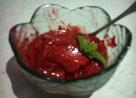 Sorbet sans sorbetière