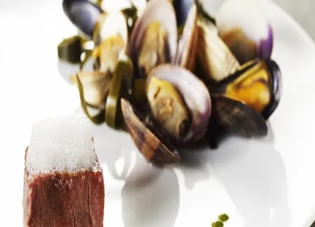 Pot au feu de sanglier kub, coquillage, fine mousseline d'herbes, un nuage du pot