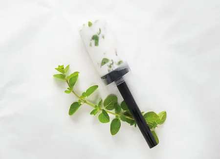 Sorbet chèvre & origan