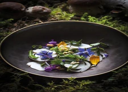 Salade d’herbes & fleurs sauvages, cèpes à cru