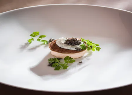 Mousseline de langoustines, crème de yaourt au persil et cerfeuil rôtis