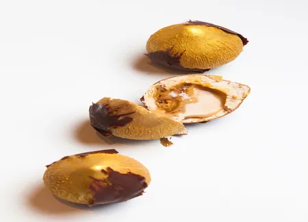 Noisette