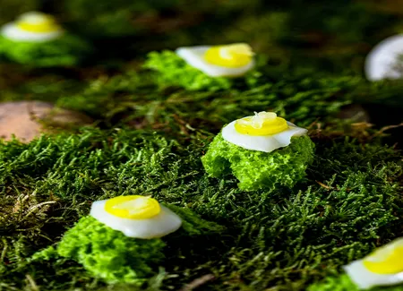 Mousse végétale de nos sous-bois, coquille saint-jacques, takuan