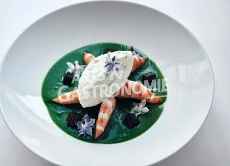 Velouté de cresson glacé, crevettes roses, bourrache