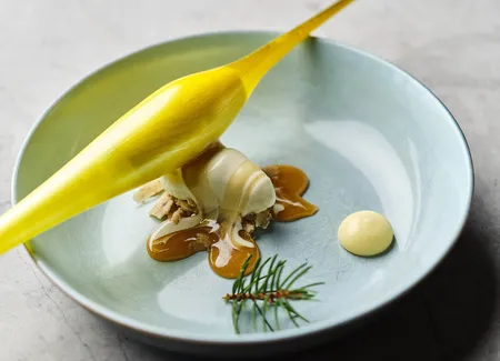 Citron, bourgeon de sapin