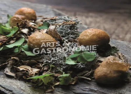 Escargots de dienay frits au levain
