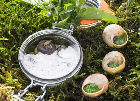 Escargots de bourgogne en coquille