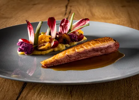 Filet de canard et son jus au miel de cîteaux