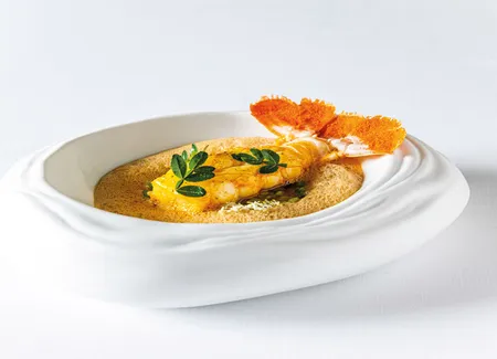 Langoustine, petits pois, sureau