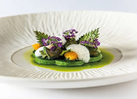 L’escargot sous les feuilles d’ortie