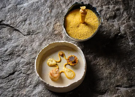 La saint-jacques, fleur de maïs, cornet de polenta et jus aux pieds de cochons