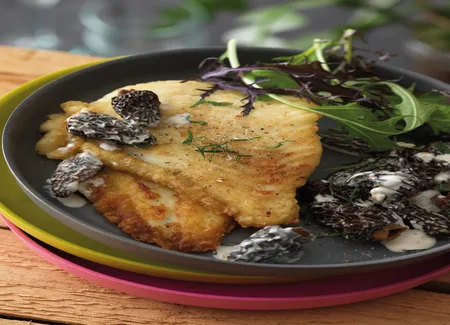 Filet de turbot aux morilles