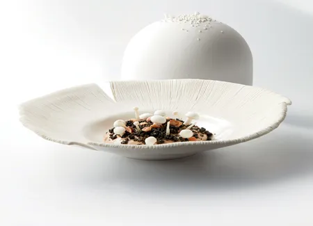 Le champignon de paris