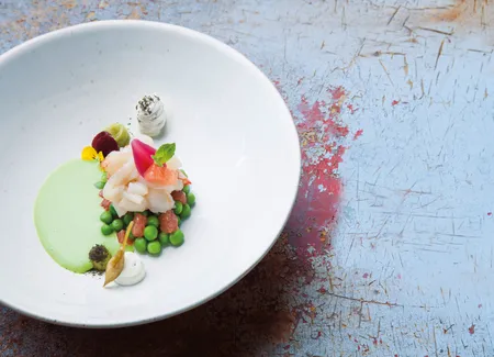 Sashimi de homard & pamplemousse, pistou petits pois & menthe