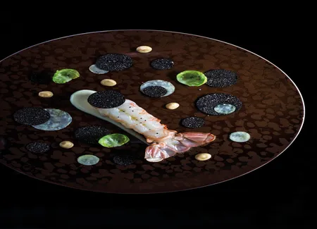 Langoustine royale, chou, truffe noire du périgord