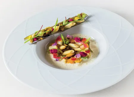 Moules, palourdes, couteaux cuits en marinière